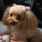 さーちゃんの画像