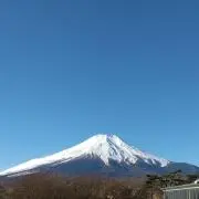 ヤギの画像