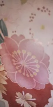 チャア☆の画像