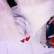 ゆうちゃんの画像
