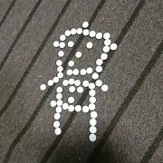 静かな小枝の画像