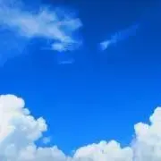 ひまの画像