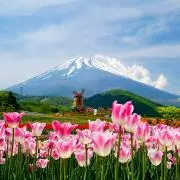 亀山@期間限定セール中❕の画像