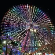 フォルトゥナの画像