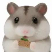 あめの画像