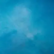 みんとの画像