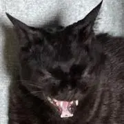 lolの画像