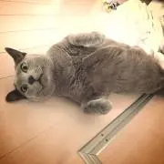 さおりの画像