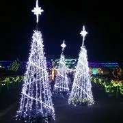 メイマイ☘