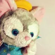 ぼむの画像