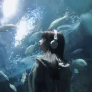 白湯