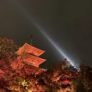 Elmaの画像