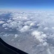 おもちの画像