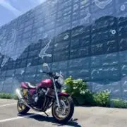 GONTAの画像