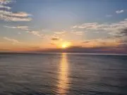 さぴこの画像