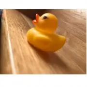 ともきの画像