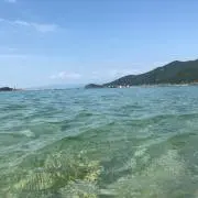 ちゃいの画像