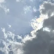 キタムラの画像