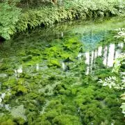 kuの画像