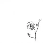 seiの画像