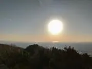 こおい