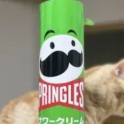 だるまの画像