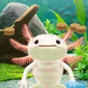 マウンテンデューの画像