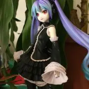 WGB2017の画像
