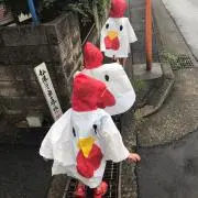 ちャんみか