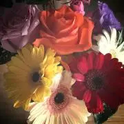 aki♡プロフ必読お願いします♡