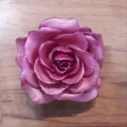 【即購入OK!!】こころびよりの画像