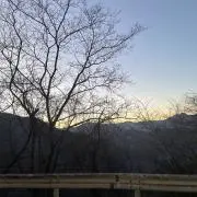 ポンタの画像