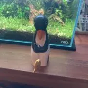 たるたるぺんぎん