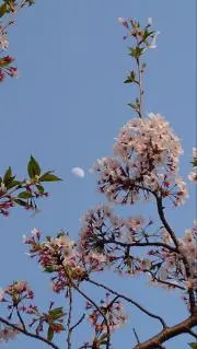 サトやんの画像