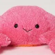 tomoの画像