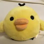 ピヨタ妻の画像