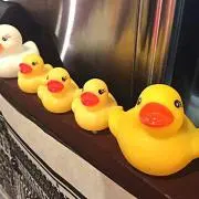 トシ