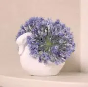 ranの画像
