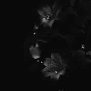 ㅅ ㅇ ㅅ