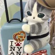 JWの画像