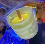 茶柱