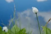 清水の画像