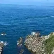 月の画像