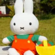いろいろ