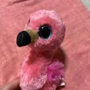 パトラの画像