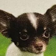 つくねの画像