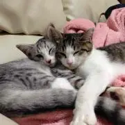 あーちゃん