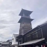 ナリナの画像