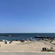 ひなぴんの画像