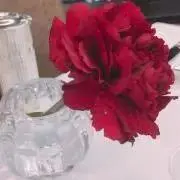 おまめの画像